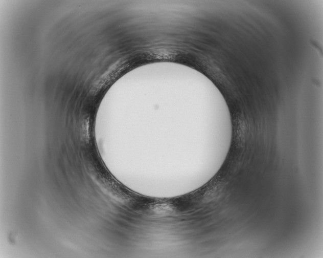 X0000102470262200808291611