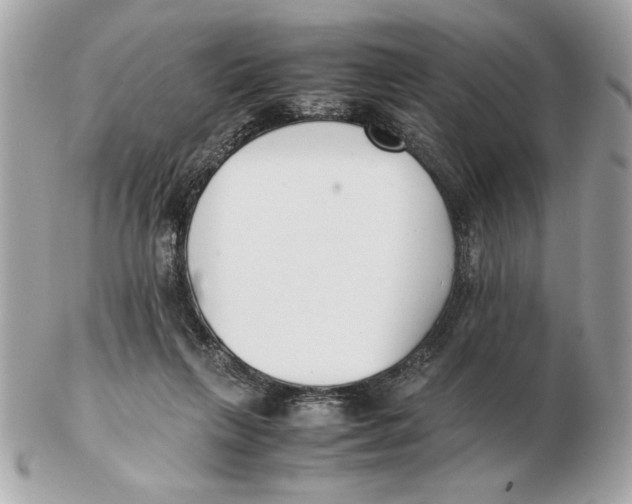 X0000102470263200808291611