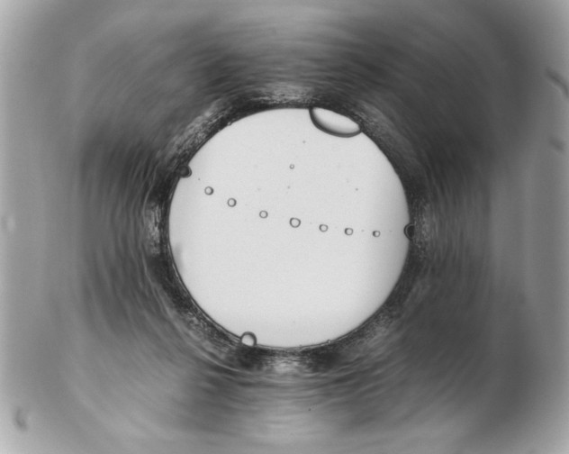 X0000102470264200808291611