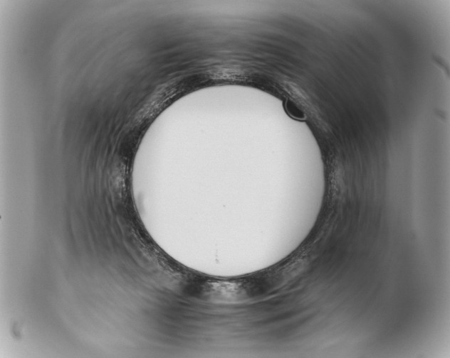X0000102470265200808291611