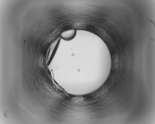 X0000102470266200808291611