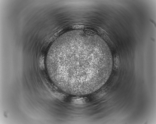 X0000102470267200808291611