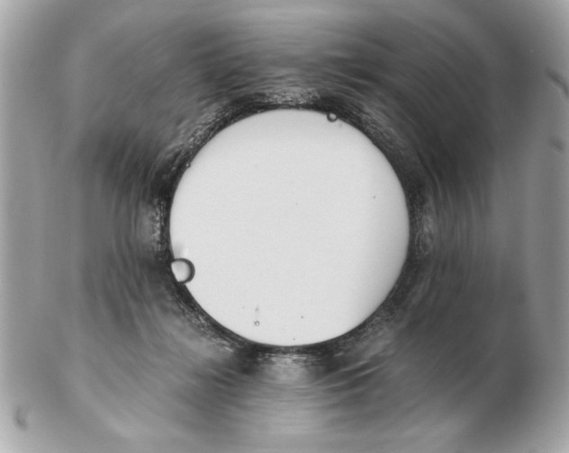 X0000102470268200808291611