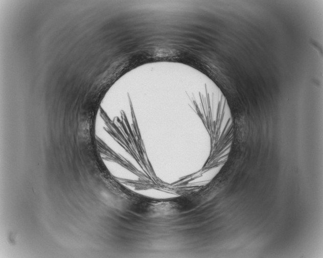 X0000102470269200808291611