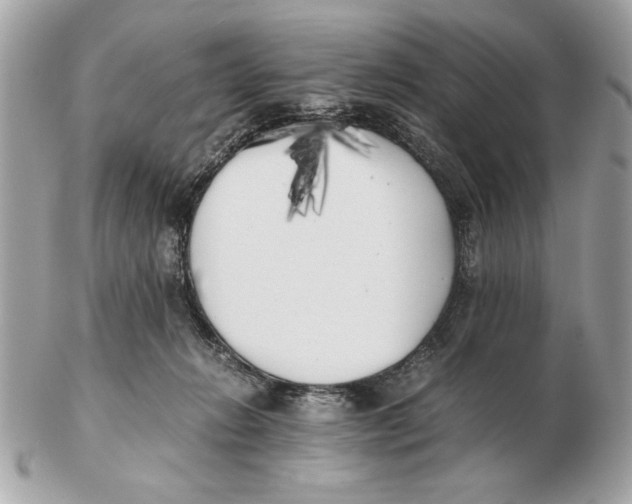 X0000102470270200808291611