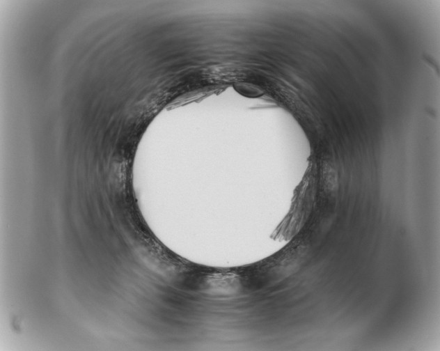 X0000102470271200808291611