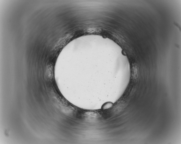 X0000102470272200808291611