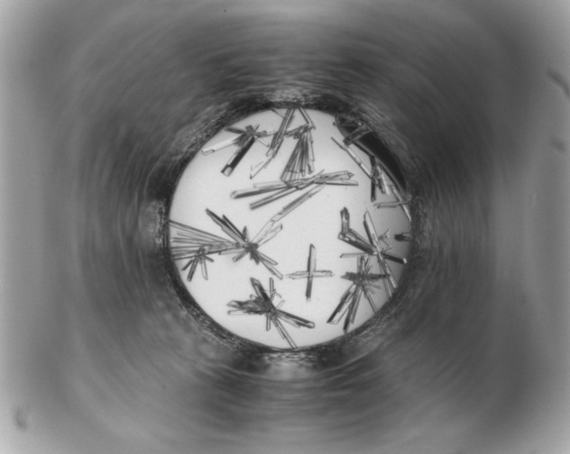 X0000102470273200808291611