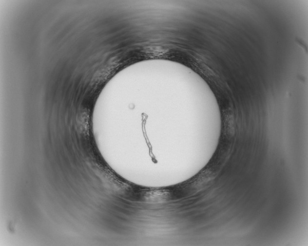 X0000102470274200808291611