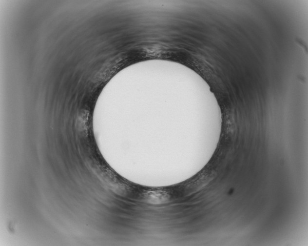 X0000102470275200808291611