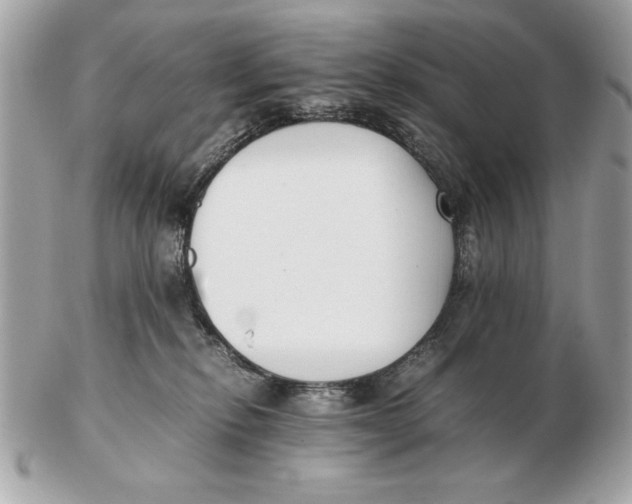 X0000102470278200808291611