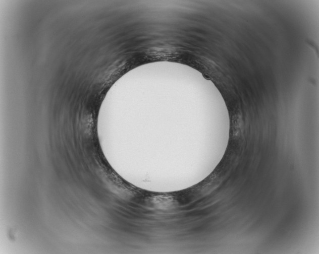 X0000102470279200808291611