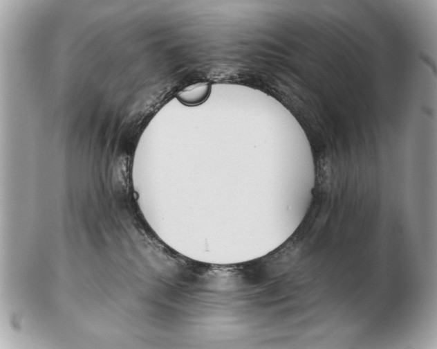 X0000102470280200808291611
