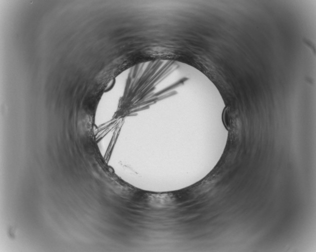 X0000102470281200808291611