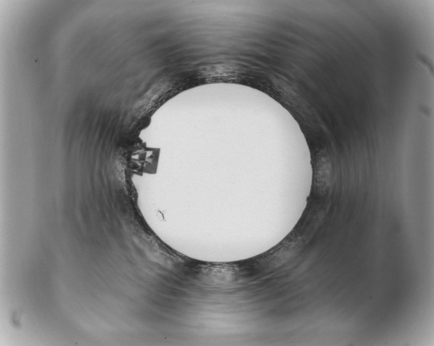 X0000102470282200808291611