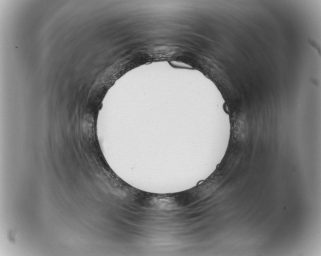 X0000102470283200808291611