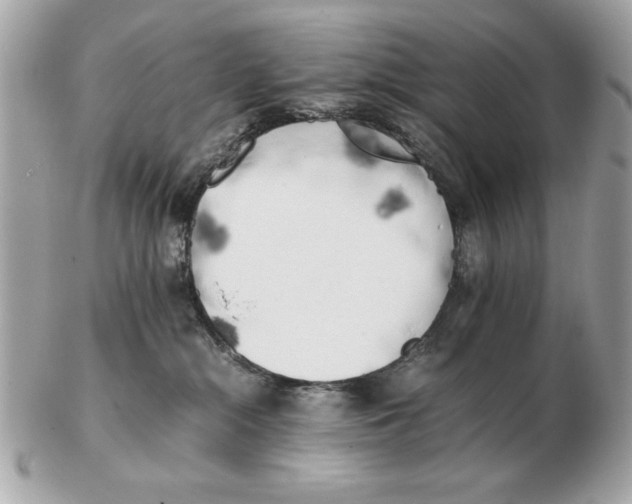 X0000102470284200808291611