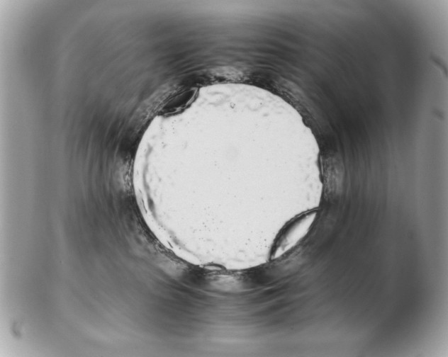 X0000102470285200808291611