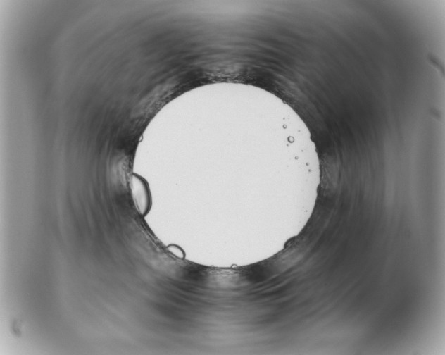 X0000102470287200808291611