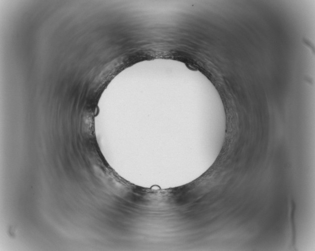 X0000102470288200808291611