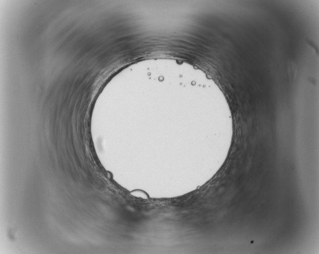 X0000102470289200808291611