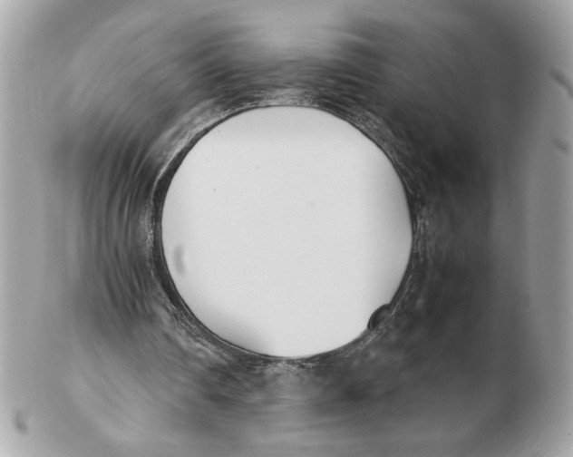 X0000102470290200808291611