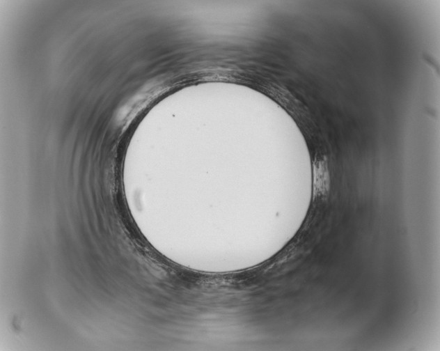 X0000102470291200808291611
