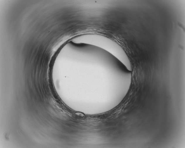 X0000102470292200808291611