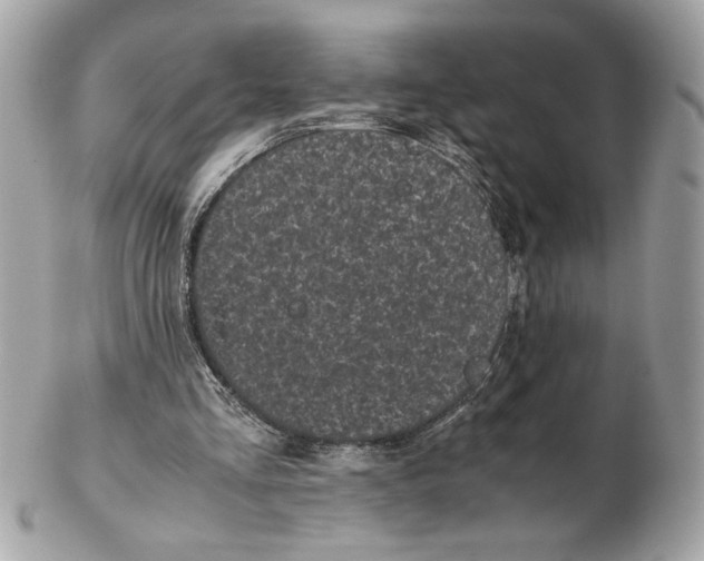 X0000102470293200808291611