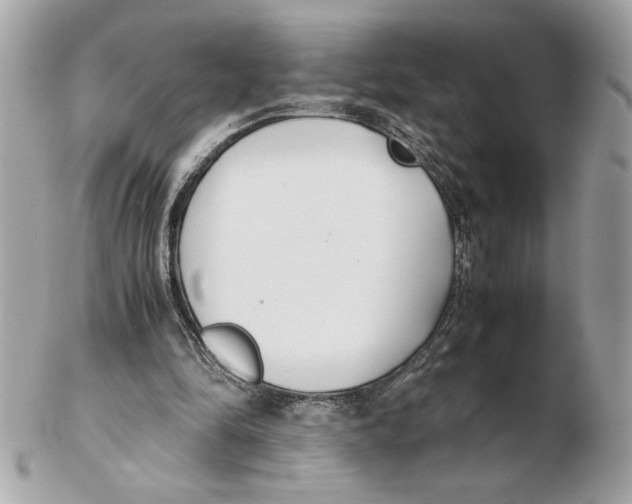 X0000102470294200808291611