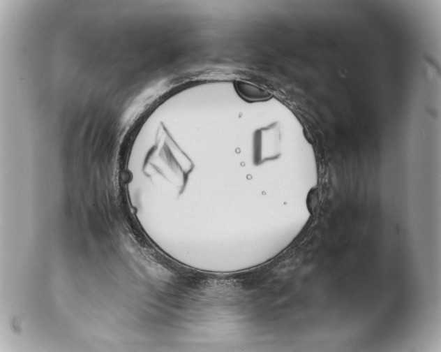X0000102470296200808291611