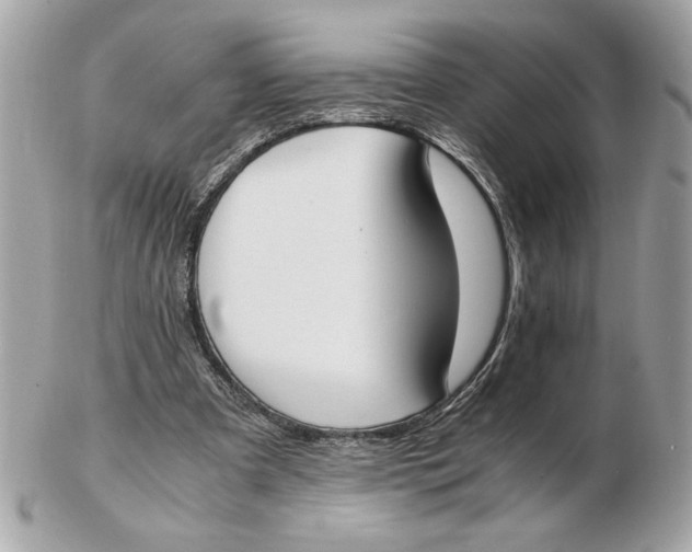 X0000102470297200808291611
