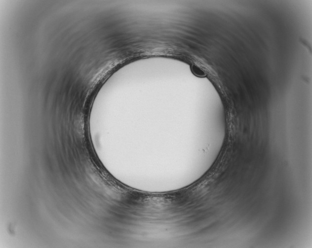 X0000102470298200808291611