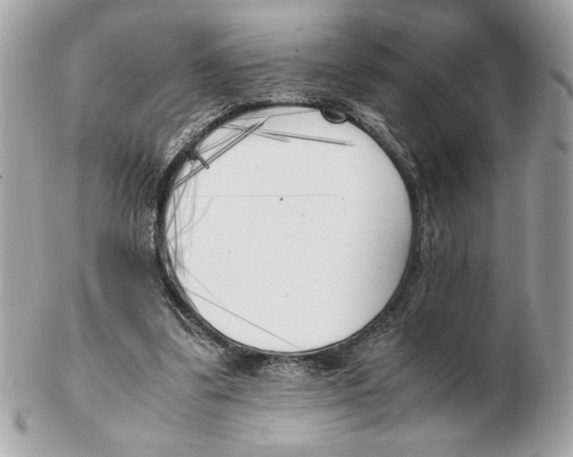 X0000102470299200808291611