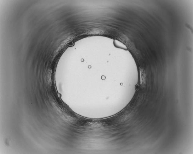 X0000102470300200808291611