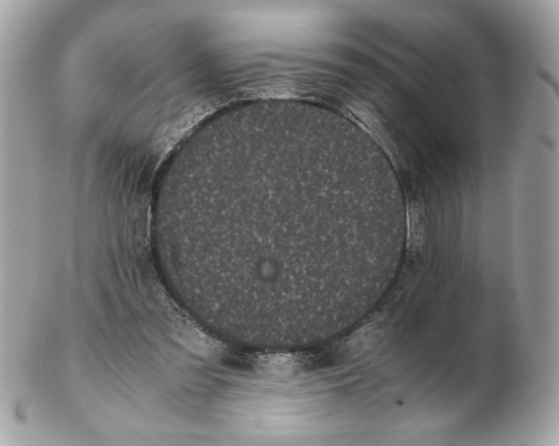 X0000102470301200808291611