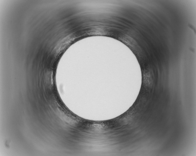 X0000102470302200808291611