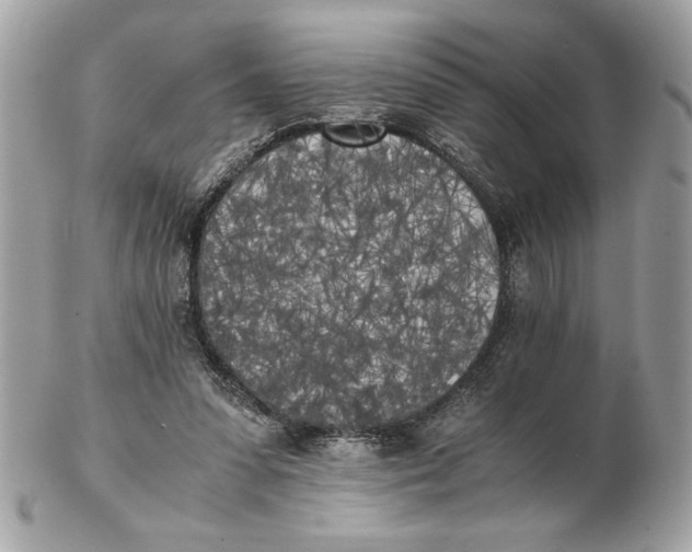 X0000102470303200808291611