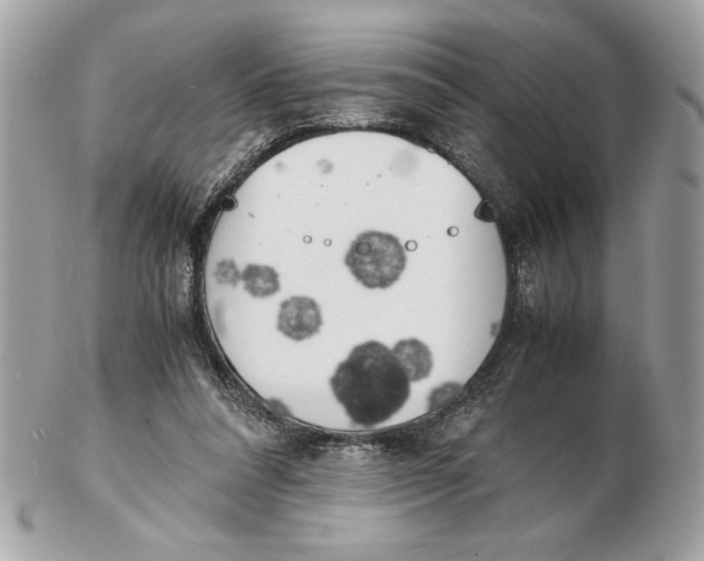 X0000102470304200808291611