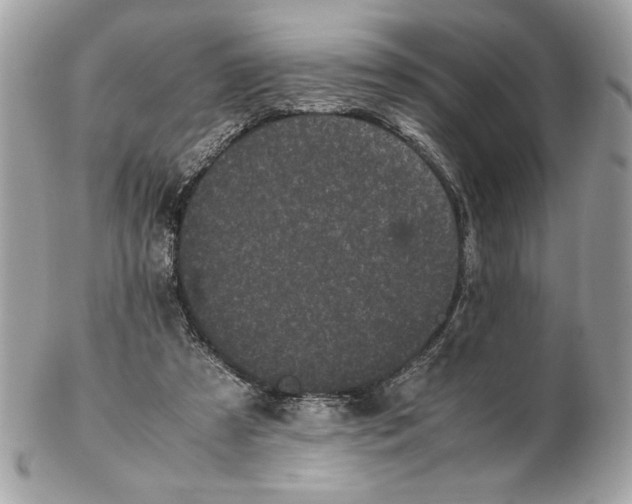 X0000102470305200808291611