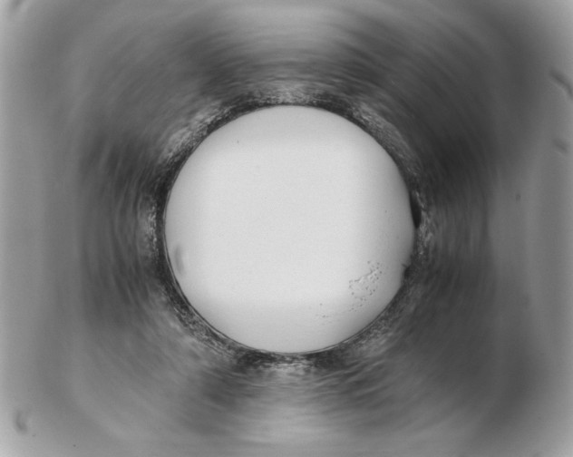 X0000102470306200808291610