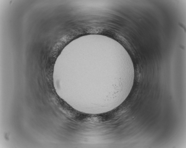 X0000102470307200808291610