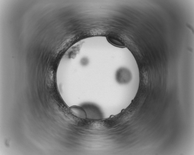 X0000102470308200808291610