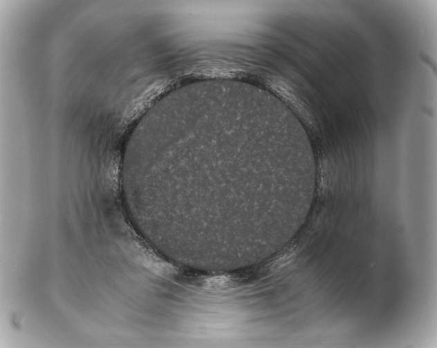 X0000102470309200808291610