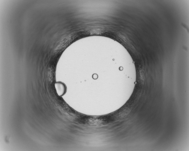 X0000102470311200808291610