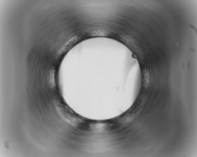 X0000102470312200808291610