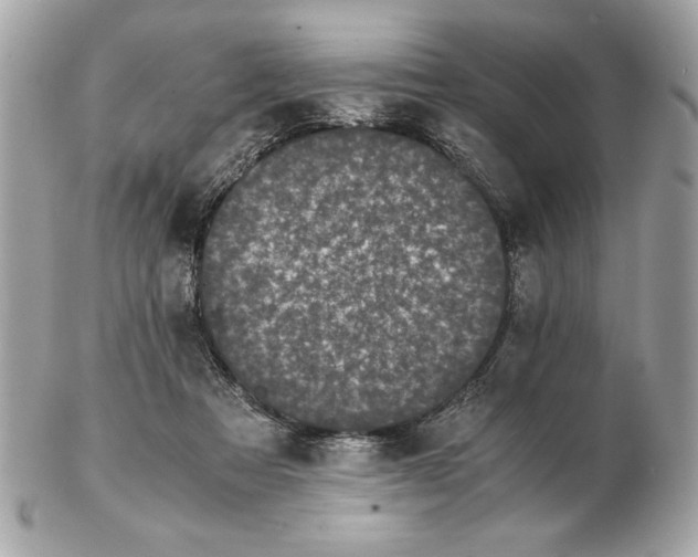 X0000102470313200808291610