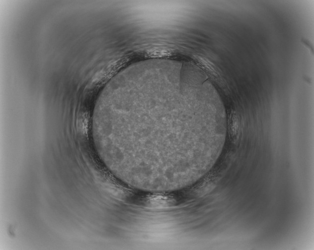 X0000102470315200808291610