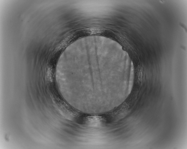 X0000102470316200808291610