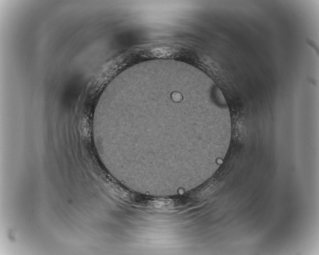 X0000102470317200808291610